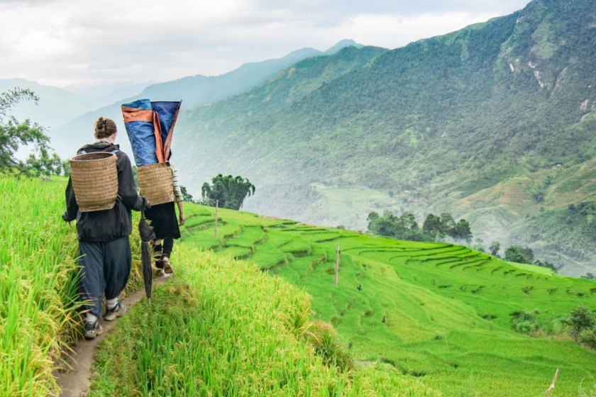 Day 8: Sapa - Y Linh Ho Village - Lao Chai Village - Ta Van Village  (Breakfast, Lunch, Dinner)